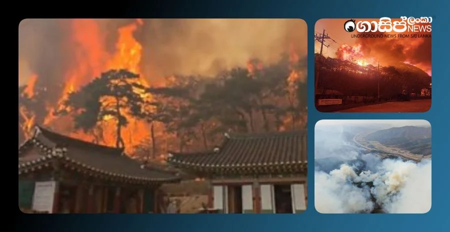 wildfires-in-south-korea-destroy-historic-gonza-buddhist-temple-with-artifacts wildfires-in-south-korea-destroy-historic-gonza-buddhist-temple-with-artifacts