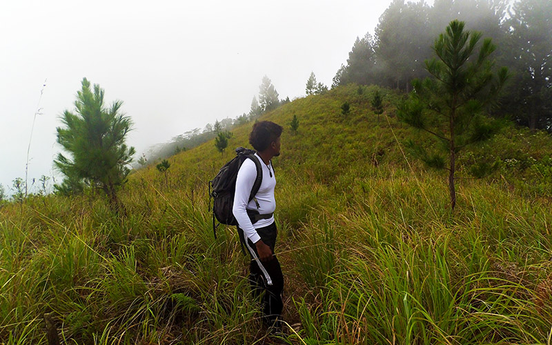 Hagala Hiking