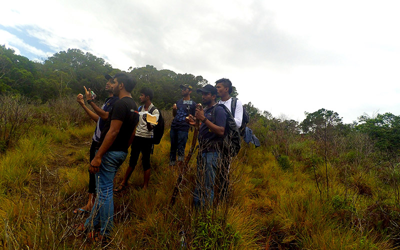 Hagala Hiking