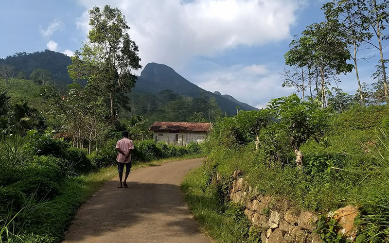 Trip to pettigala