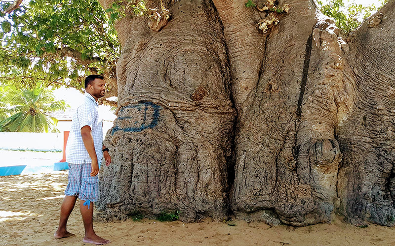 Trip to Mannar