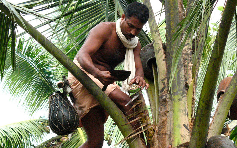 Jaffna by rail from Matara