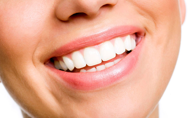 Facts about teeth