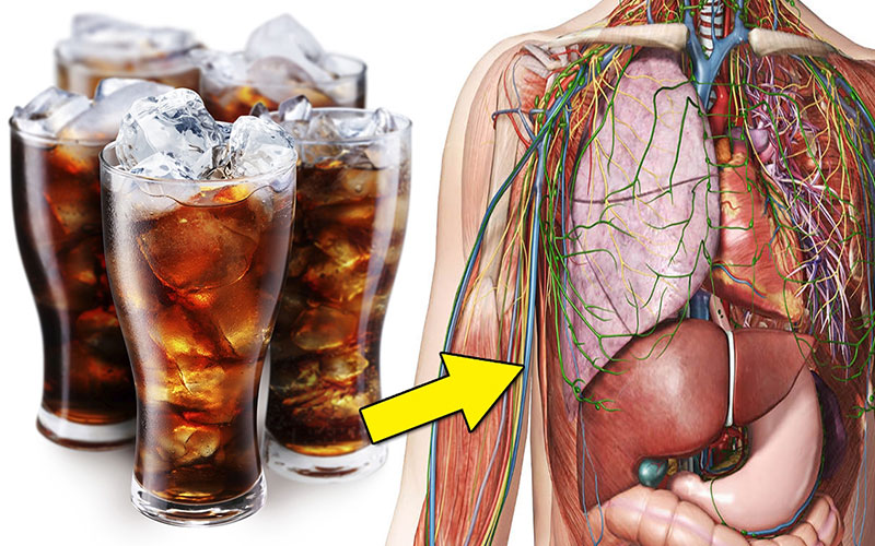 Why not to drink alcohol