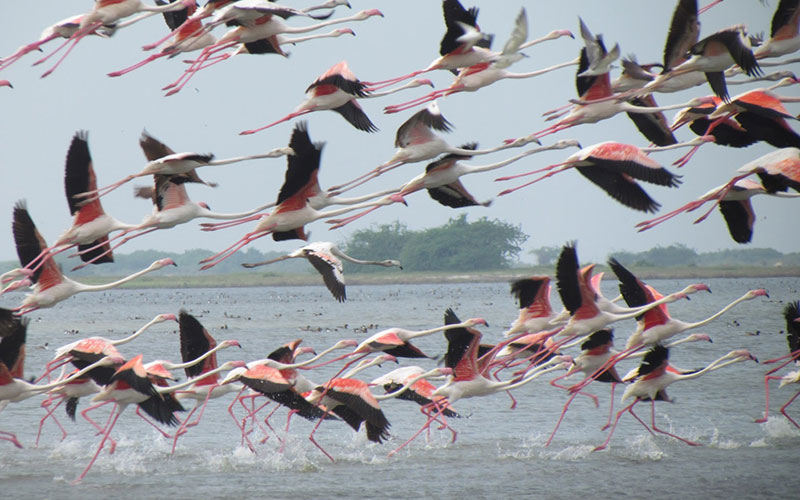 Trip to Mannar