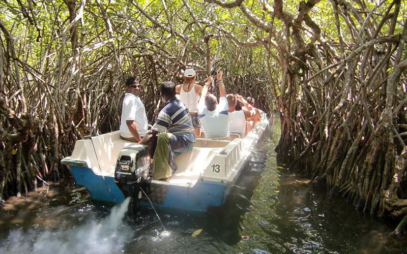 Boat Trips Sri Lanka