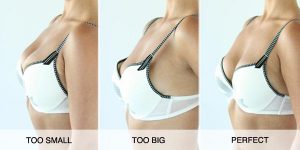 Bra_Fit_Image_SITE_grande