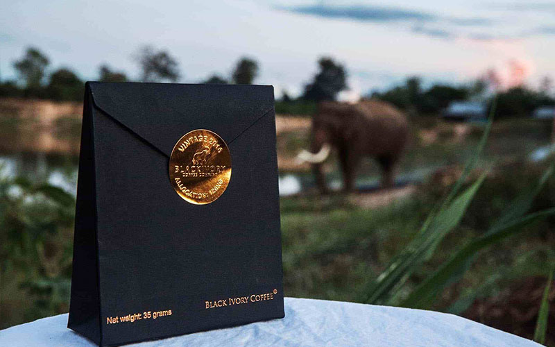 Most Expensive Coffee Around the Globe