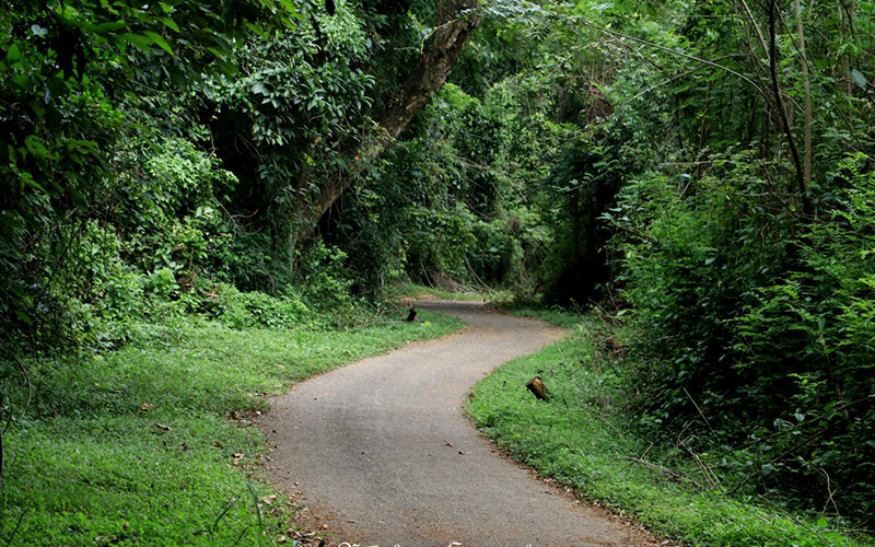 Bike tour