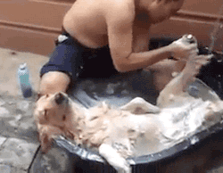 how to get a proper shower