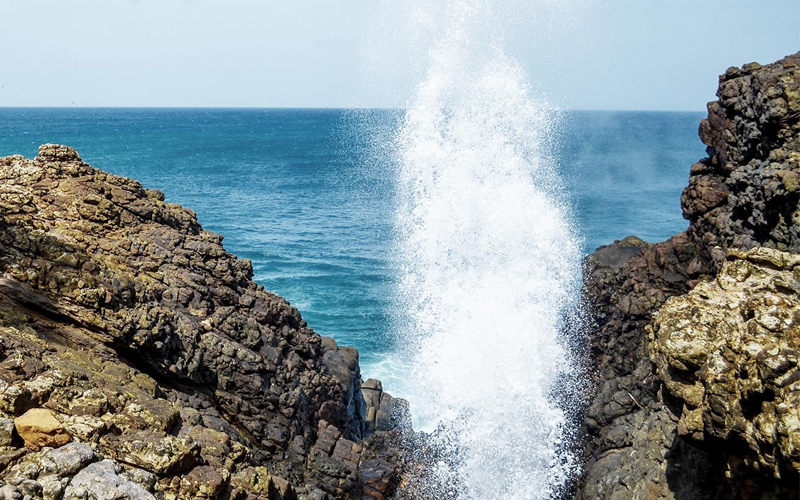 places to visit in tangalle sri lanka
