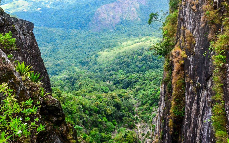 What is modolsima in sri lanka