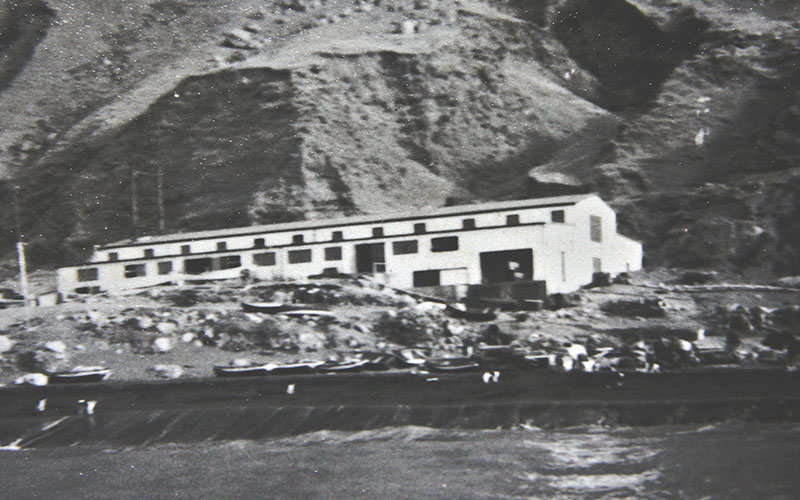 tristan da cunha