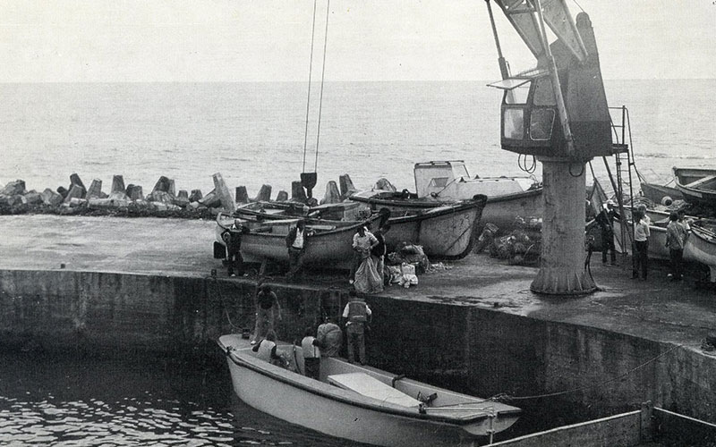 tristan da cunha