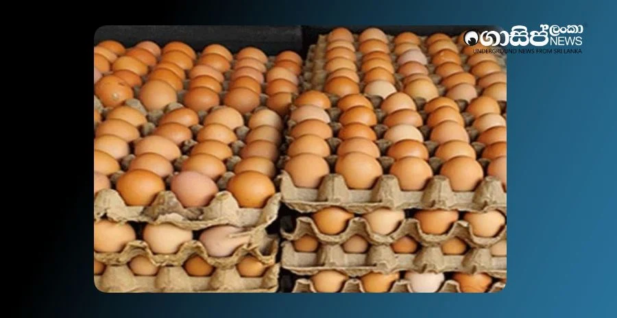 egg-prices-rise-again-warnings-of-a-shortage egg-prices-rise-again-warnings-of-a-shortage