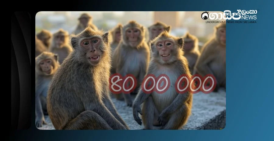 8-million-elephants-and-4-million-monkeys-in-the-country-farmers-lied-to-get-compensation-how-the-animal-census-was-distorted 8-million-elephants-and-4-million-monkeys-in-the-country-farmers-lied-to-get-compensation-how-the-animal-census-was-distorted