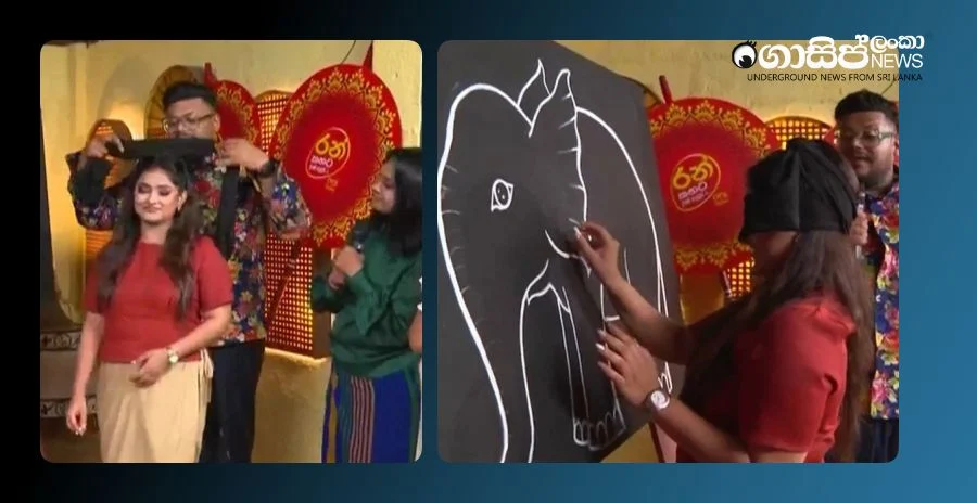 how-manisha-and-gayathris-daughter-laid-eyes-on-the-elephant-video