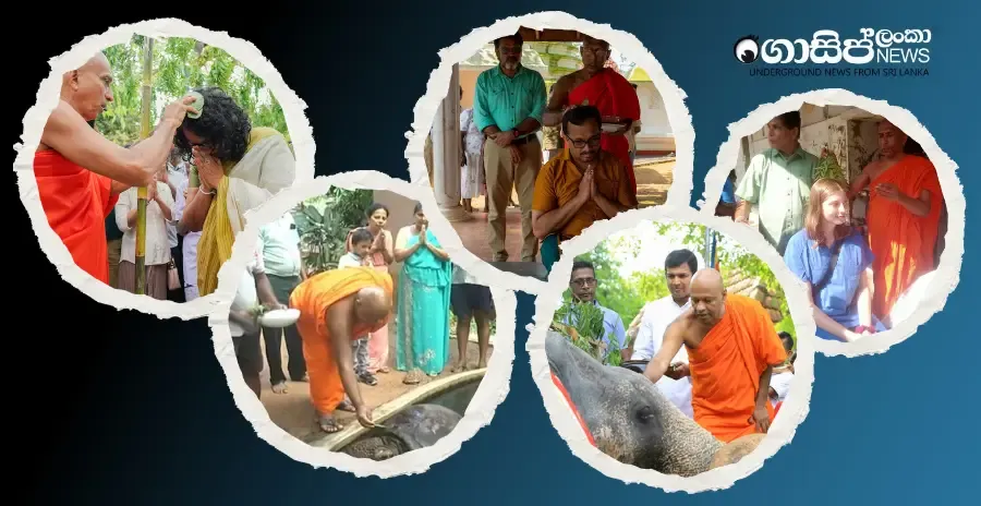 Various occasions for oiling the head (photos) Various occasions for oiling the head (photos)