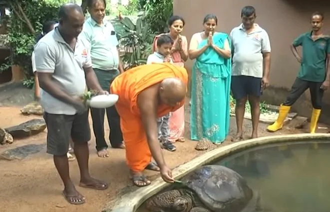 සත්වෝද්‍යානයේ වයස 153 ඉබ්බාට හිසතෙල් ගෑ හැටි.
