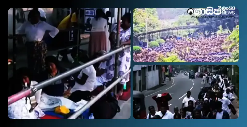 after-16-years-the-dalada-maligawa-pilgrimage-begins-this-afternoon-no-vip-vvip-queues after-16-years-the-dalada-maligawa-pilgrimage-begins-this-afternoon-no-vip-vvip-queues