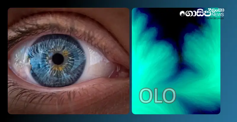 Scientists discover a new color called "Olo" that is rare to see Scientists discover a new color called "Olo" that is rare to see