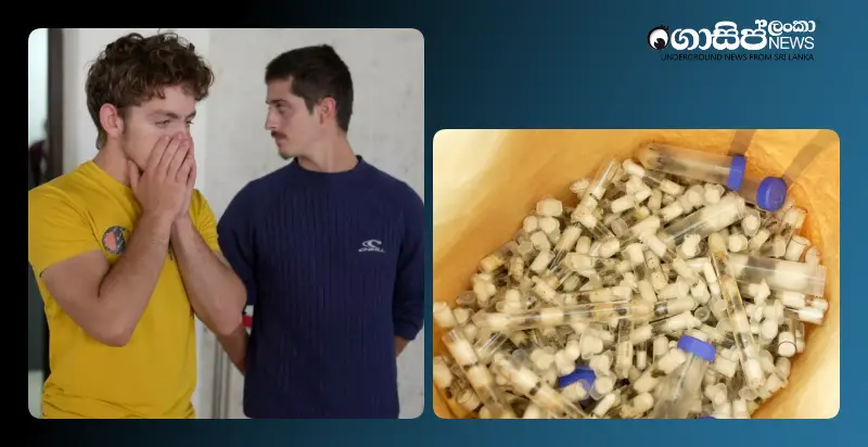 two-belgian-youths-arrested-with-5000-ants-stolen-from-kenya two-belgian-youths-arrested-with-5000-ants-stolen-from-kenya