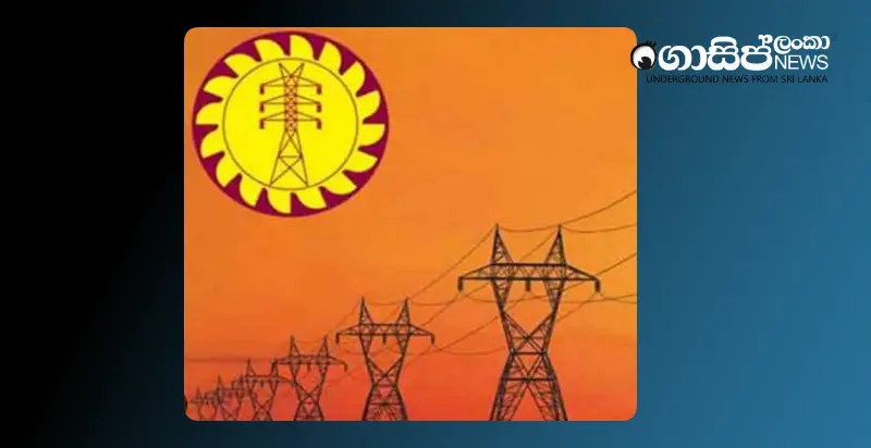 ceb-posts-a-loss-of-rs-18-billion-in-the-first-quarter-of-2025 ceb-posts-a-loss-of-rs-18-billion-in-the-first-quarter-of-2025