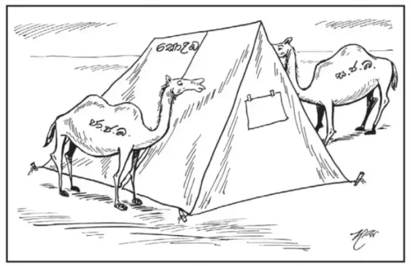 gossiplanka image 6