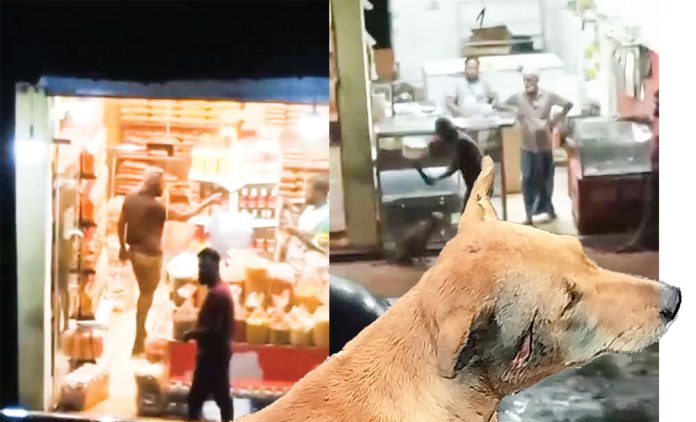 Dog.jpg