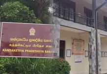 මාලිමාවට බලය හිමි කන්දෙකැටිය අයවැය දෙවන වරටත් පරදී