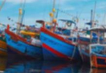 ‘දෙහි බාලේට’ අයත් ධීවර යාත්රා පහක් CID භාරයට