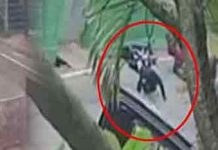 මෝදර දේවාලයේ සභාපති ඝාතනය ගැන තවත් තොරතුරු එළියට