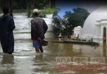 මහවැලි ගංගා ද්රෝණියේ ගංවතුර අවදානමක් – සෝමාවතියට යන බැතුමතුන්ටත් දැනුම්දීමක්