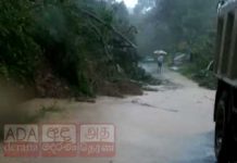 බදුල්ලේ නායයෑම්වලින් මිය ගිය ගණන 11ක් දක්වා ඉහළට