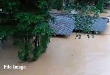 මහවැලි ගඟ ද්රෝණියේ පහත් බිම්වලට මහ ගංවතුර තත්ත්වයක්