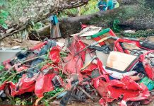 බැද්දේවල දී ත්රිරෝදය මතට මාර ගසක් කඩා වැටී රියැදුරු මරුට – සිඟිත්තකු ඇතුළු 3ක් රෝහලේ