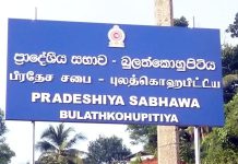 බුලත්කොහුපිටිය අයවැය පරදී