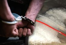 දෙහිබාලේගේ ප්රධාන ගෝලයා අයිස් සමග මාට්ටු