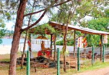 රට ගිනිතියන හනුමන්තලා සහ දේශපාලන පිංගුත්තරලා!