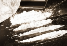 මල් ශාලාවකින් මතු වූ මත්කුඩු!