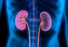 වකුගඩු පරිස්සම් කරගත්තොත් ගොඩක් ප්රශ්න ඉවරයි!