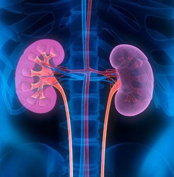 වකුගඩු පරිස්සම් කරගත්තොත් ගොඩක් ප්රශ්න ඉවරයි!