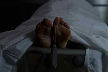 වනඅලි ප්රහාරයකින් පුද්ගලයෙකු මරුට