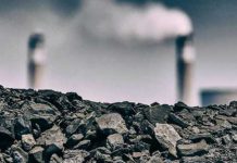 බාල ගල්අඟුරුවලින් තක්සේරුගත සෘජු පාඩුව රු. මිලියන 7672 ක් – ලංවිම