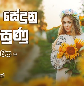 පාට සේදුණු වත්සුණු – 18