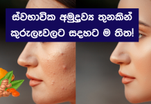 කුරුලෑ සදහට ම නවතින සම්පූර්ණ ස්වභාවික සත්කාරය