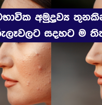 කුරුලෑ සදහට ම නවතින සම්පූර්ණ ස්වභාවික සත්කාරය