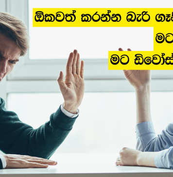 කසාද ජීවිතේ ගැටුම් විසඳන්න ආ මිතුරිය නිසා ම බිඳ වැටුණු පවුලක්