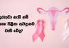 ගර්භාෂ පිළිකාව පිළිබඳ හැමදේම දැනගනිමු