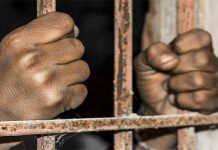 ලක්ෂ 20ක මත්ද්රව්ය සමඟ තිදෙනෙක් අත්අඩංගුවට – Saru News | සිංහල